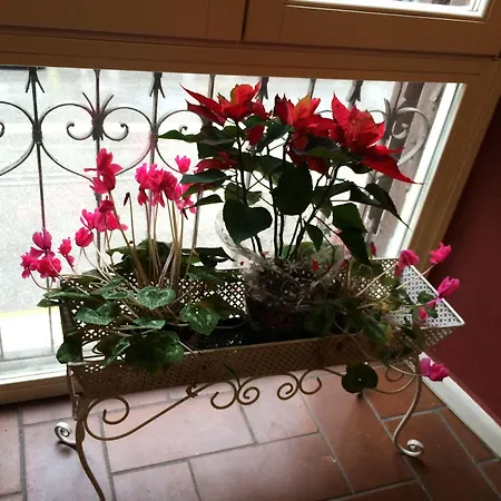 호텔 Foro Imperatori